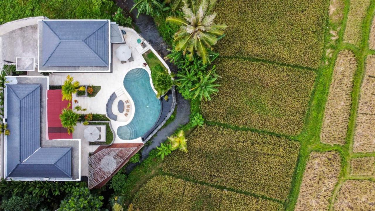 Coconut Grove Villa By Betterplace Ubud Exteriér fotografie