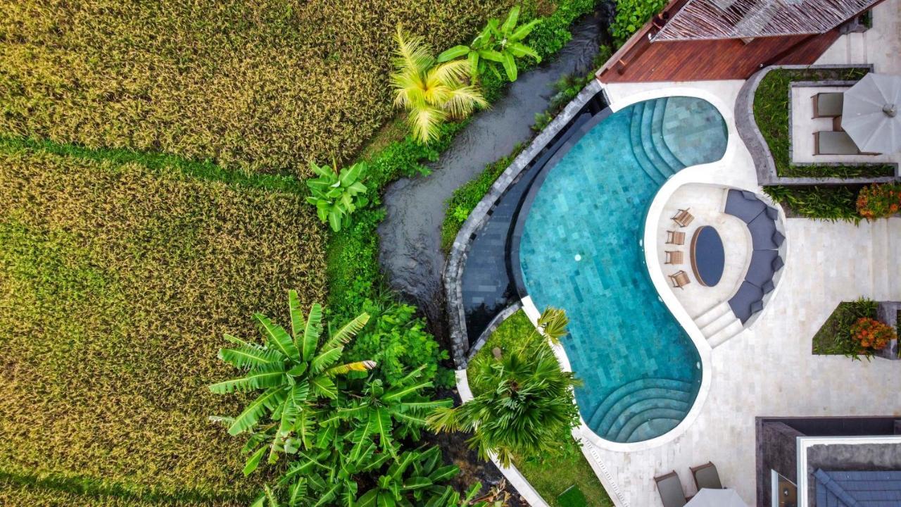 Coconut Grove Villa By Betterplace Ubud Exteriér fotografie